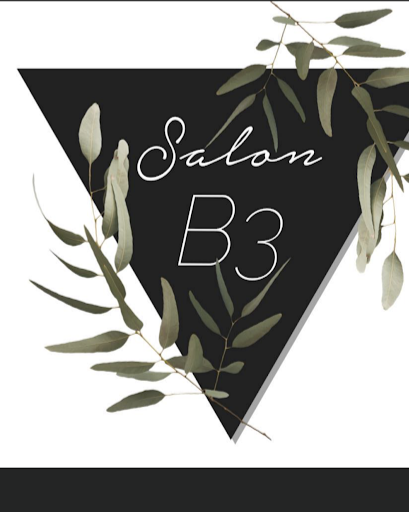 Salon B3 logo