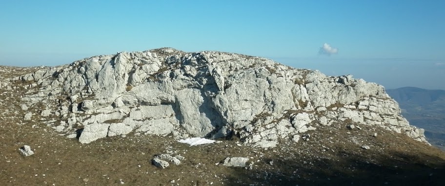 P1020002.JPG