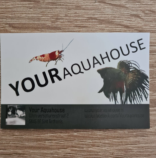 Your Aquahouse