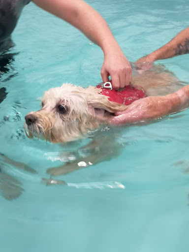 Tidal Paws Dog Fun & Fitness Swimming Pool logo