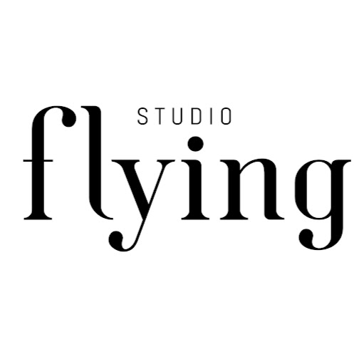 Flying Studio logo