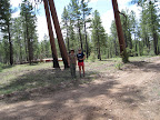 Paseo del Lobo Section 19 (Photo by E. Nelson)