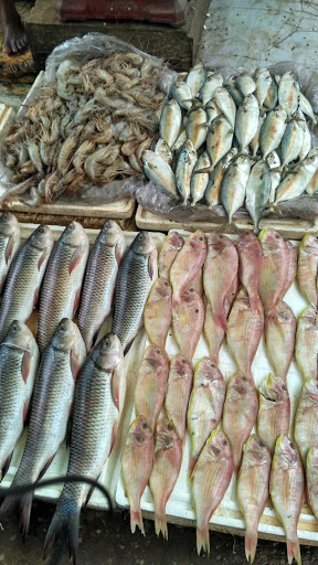 Bristol Fish Market, NH 236, A Block, DLF Phase 1, Sector 28, Sikanderpur Ghosi, Haryana 122002, India, Seafood_Market, state HR