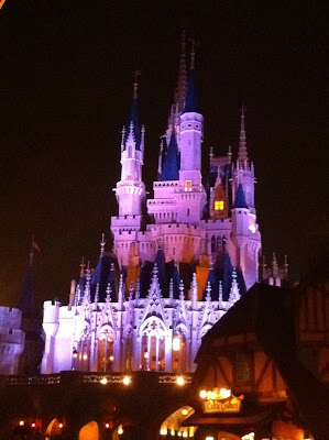 magic kingdom at night