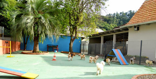 Clube Mascotes Escola de Adestramento, R. Vítor Hering, 510 - Bom Retiro, Blumenau - SC, 89010-520, Brasil, Adestrador_de_Ces, estado Santa Catarina