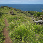 Looking down ridge burning palms on right (43498)