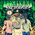 Boomerang - Reboisasi (Album 2012)