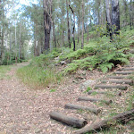 Intersection with steps on concreted trail (75210)