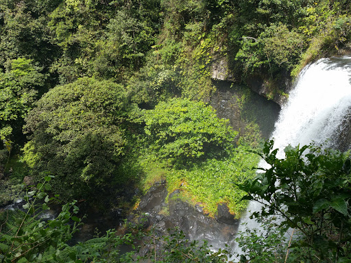 Zillie Falls, Qld