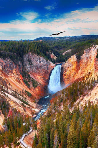 Upper Falls of the Yellowstone