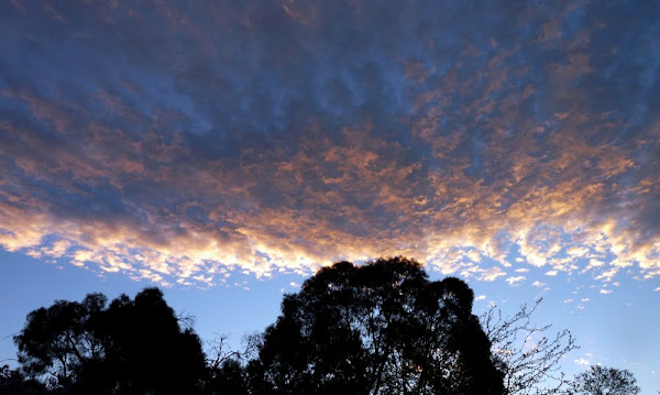 clouds