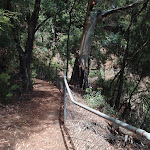 Walking tracks on Prince Henry Cliff walk (92689)