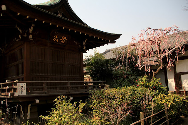 日本 東京 上野公園 東照宮 上野大佛 合格大佛 弁天堂 花園稻荷神社