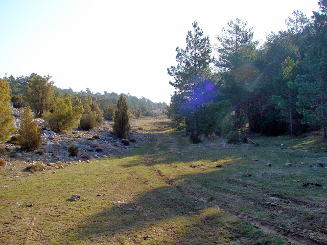 Senderismo Castell de Cabres - El Boixar - Coratxà