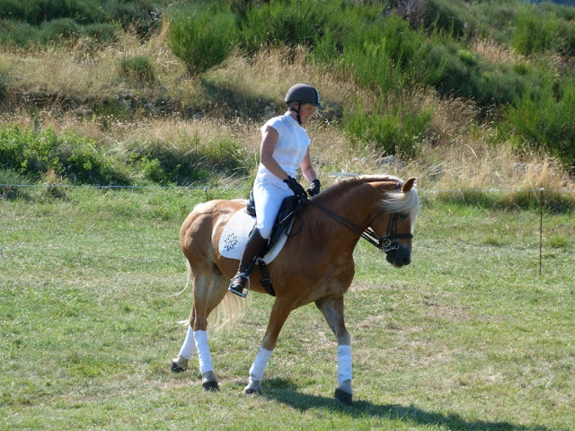 Fête du Haflinger du 16 au 18 Aout 2013 a Ajoux (07) P1170212%2520%25281024x768%2529