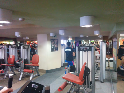 Holiday Gym Princesa