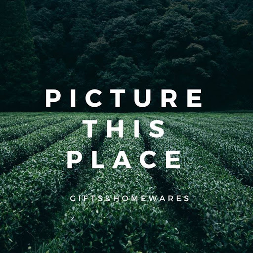 Picture This Place