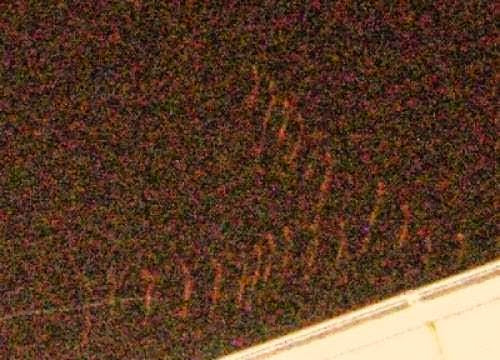 Ufo Activity Seen And Photographed Over Granada In Spain 13 Sep 2010