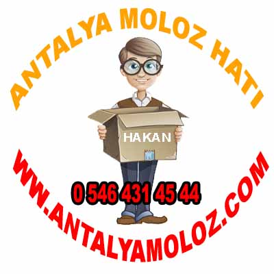 Antalya Moloz Hattı - Nakliye logo