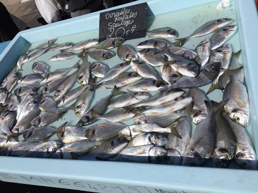 Marché aux poissons