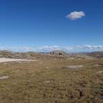 Mt Townsend plateau (86356)