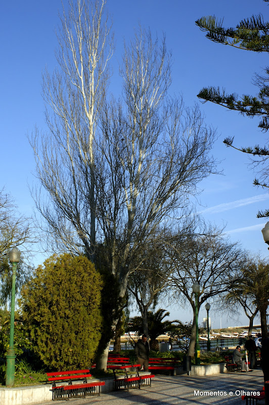 Tavira, Jardim do Coreto