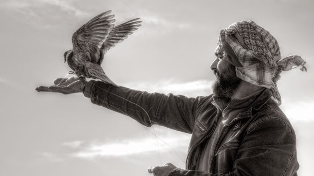 Cover photo