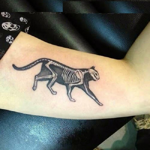 Cat Tattoos