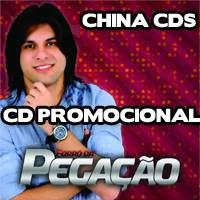 CD Forró da Pegação - Promocional de Verão - 2013