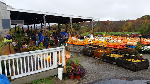 Outhouse Orchards