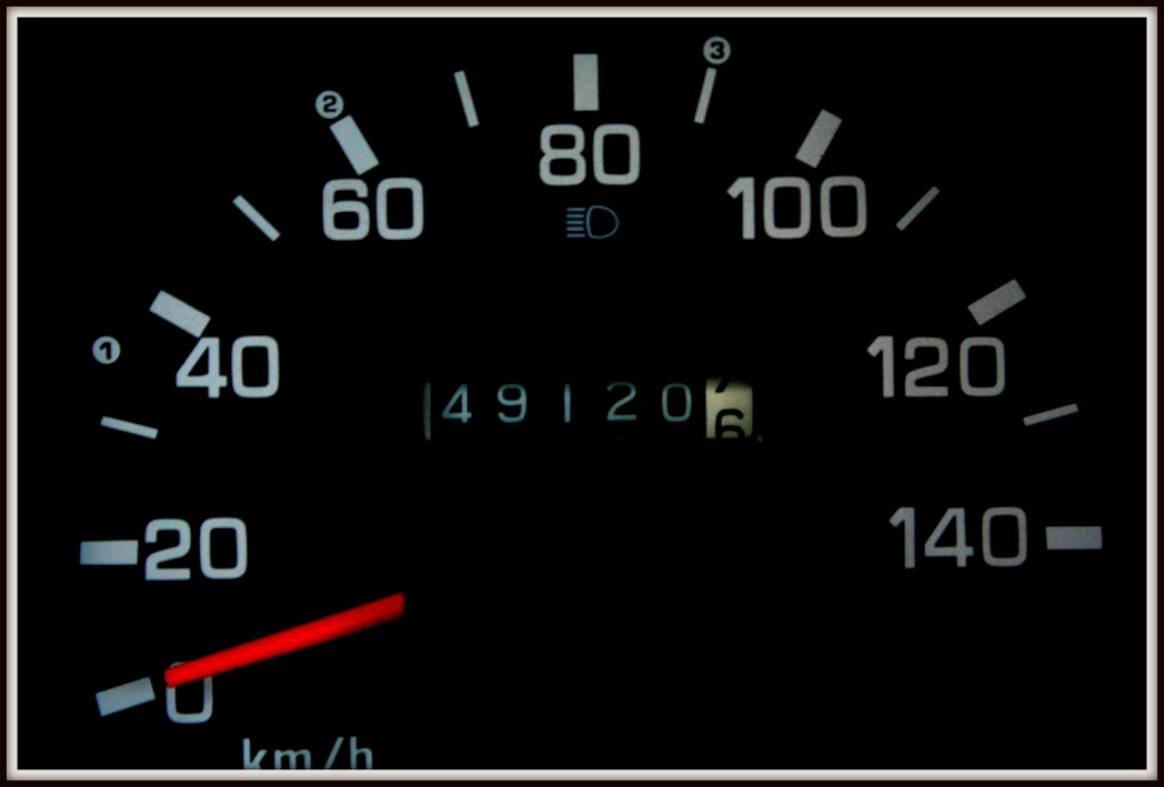 _MG_8550%2B%2528Large%2529.JPG