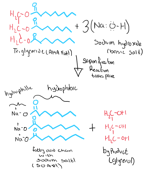 Sidebar The Science Behind Soap COVID19 Demystified