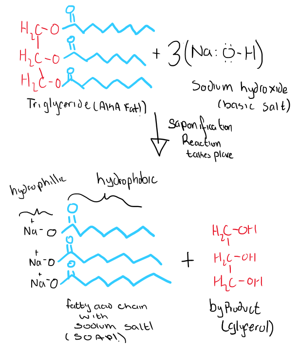 Saponification: The Science Behind Soap-Making