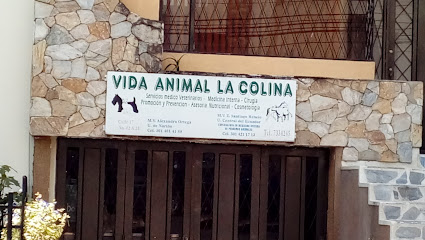 Vida Animal La Colina