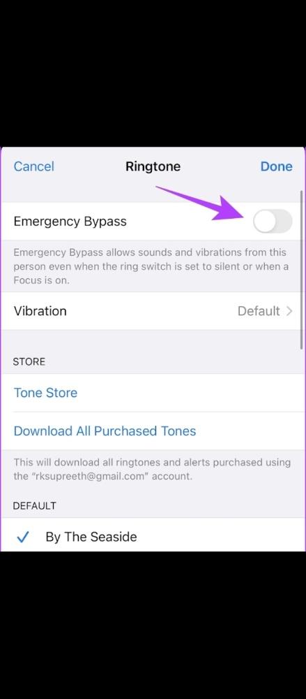 Emergency Bypass Settings On Iphone