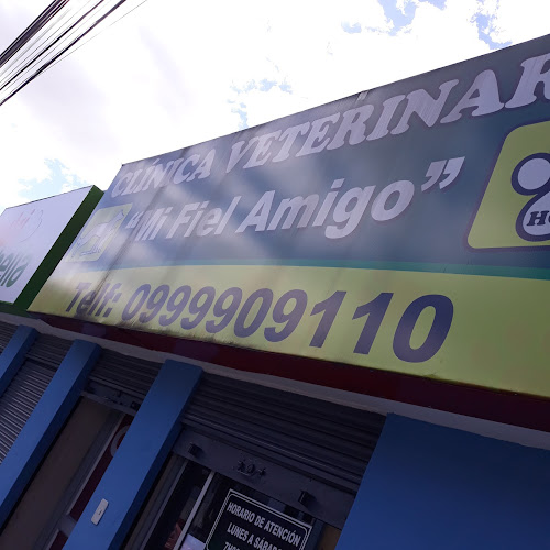 Opiniones de Mi Fiel Amigo en Quito - Veterinario