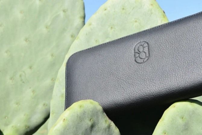 Cactus Faux Leather – Eine wundersame Erfindung aus Mexiko 4