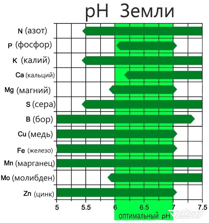 psh earth cannabis pH