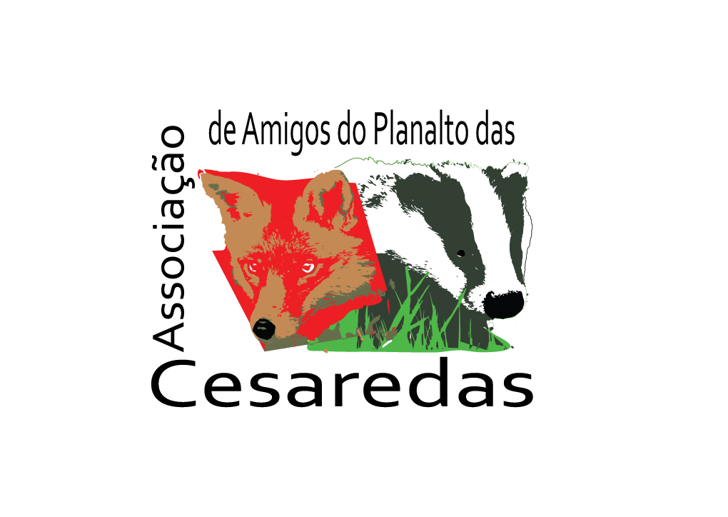 Logo-Associação-Cesaredas-201502.jpg