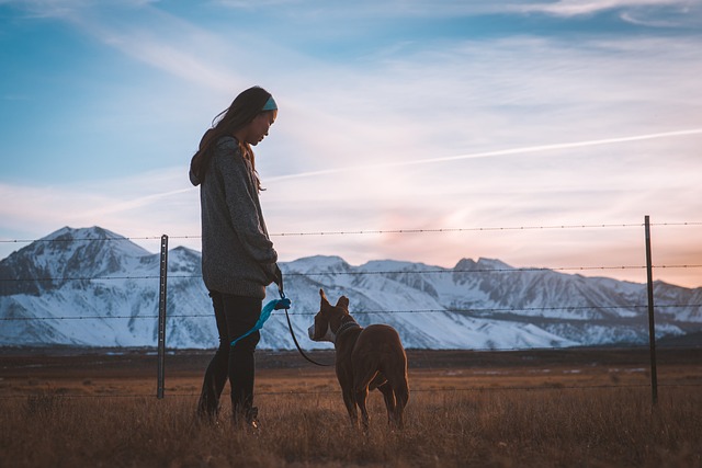 Eine gute Leinenführigkeit führt zu einem entspannten miteinander mit dem Hund.