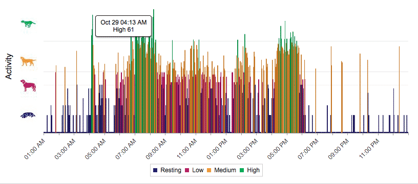 An example of a daily activity chart during boarding, showing high activity levels