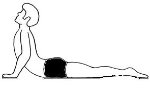 bhujangasana.gif