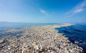 10 interesting facts about the Great Pacific Garbage Patch | Eradicate  Plastic