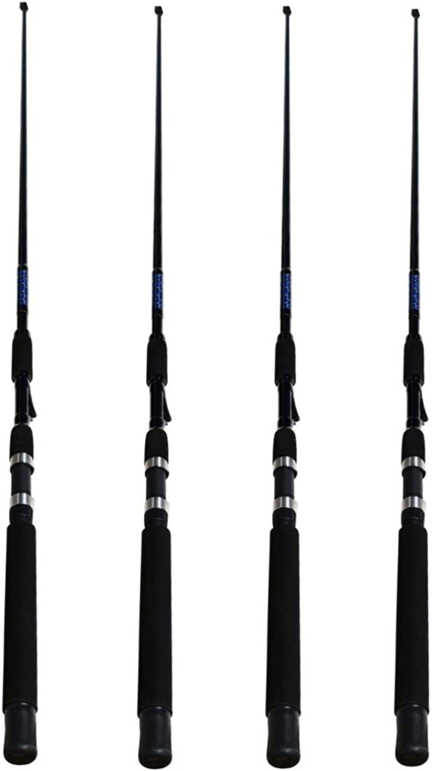 5. EatMyTackle Sabiki Rig Bait Fishing Rod - Best Two-Piece Baitcasting Rod