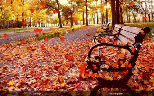 Autumn Free Live Wallpaper apk Review