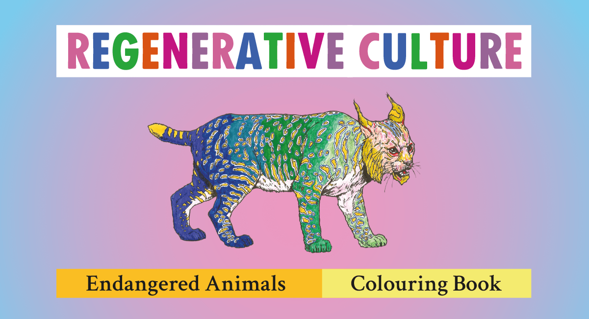 An iberian lynx drawing in rainbow colours for the regnerative culture colouring book