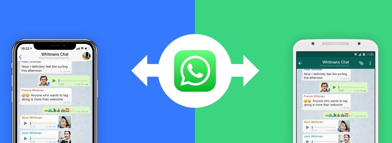 whatsapp-transfer