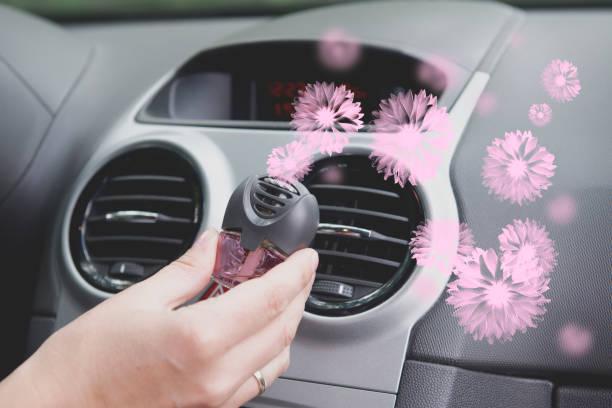 Important Things You Must Know About Car Air Fresheners