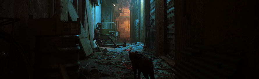 Stray Cat Game Release Date and New Gameplay Trailer