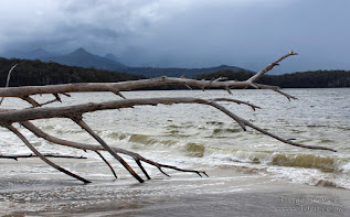 Tasmania